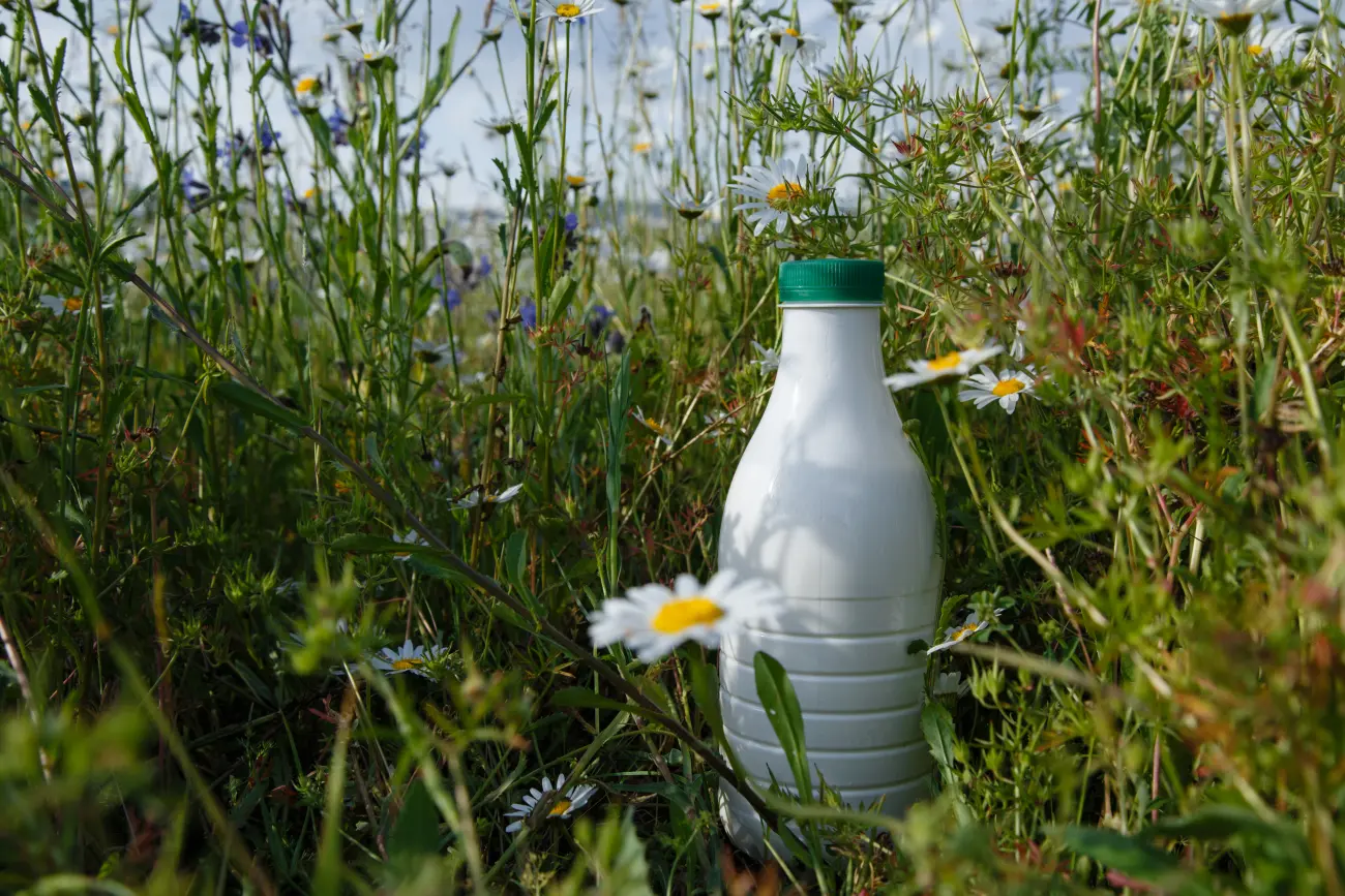 kefir właściwości