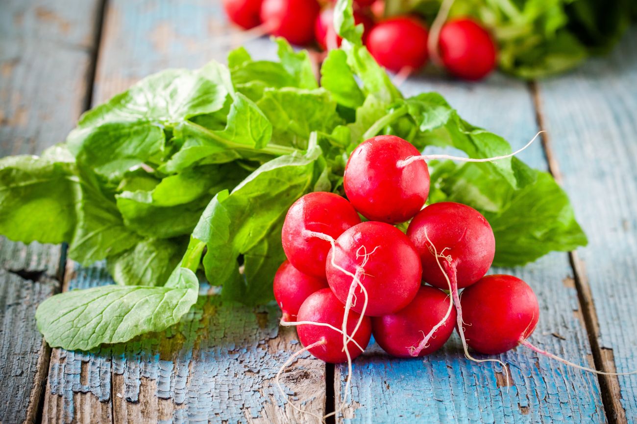 czy rzodkiewki są zdrowe