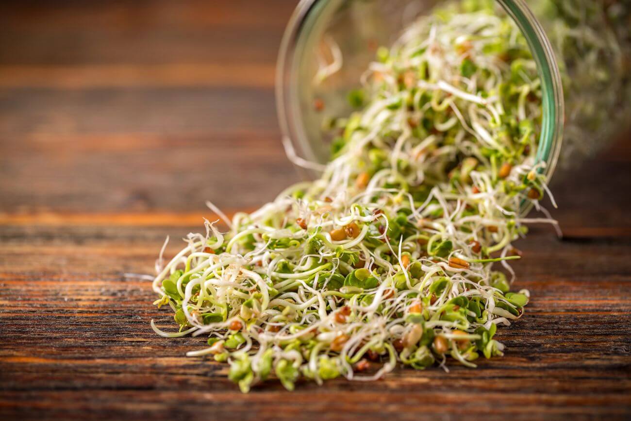 czy kiełki są zdrowe