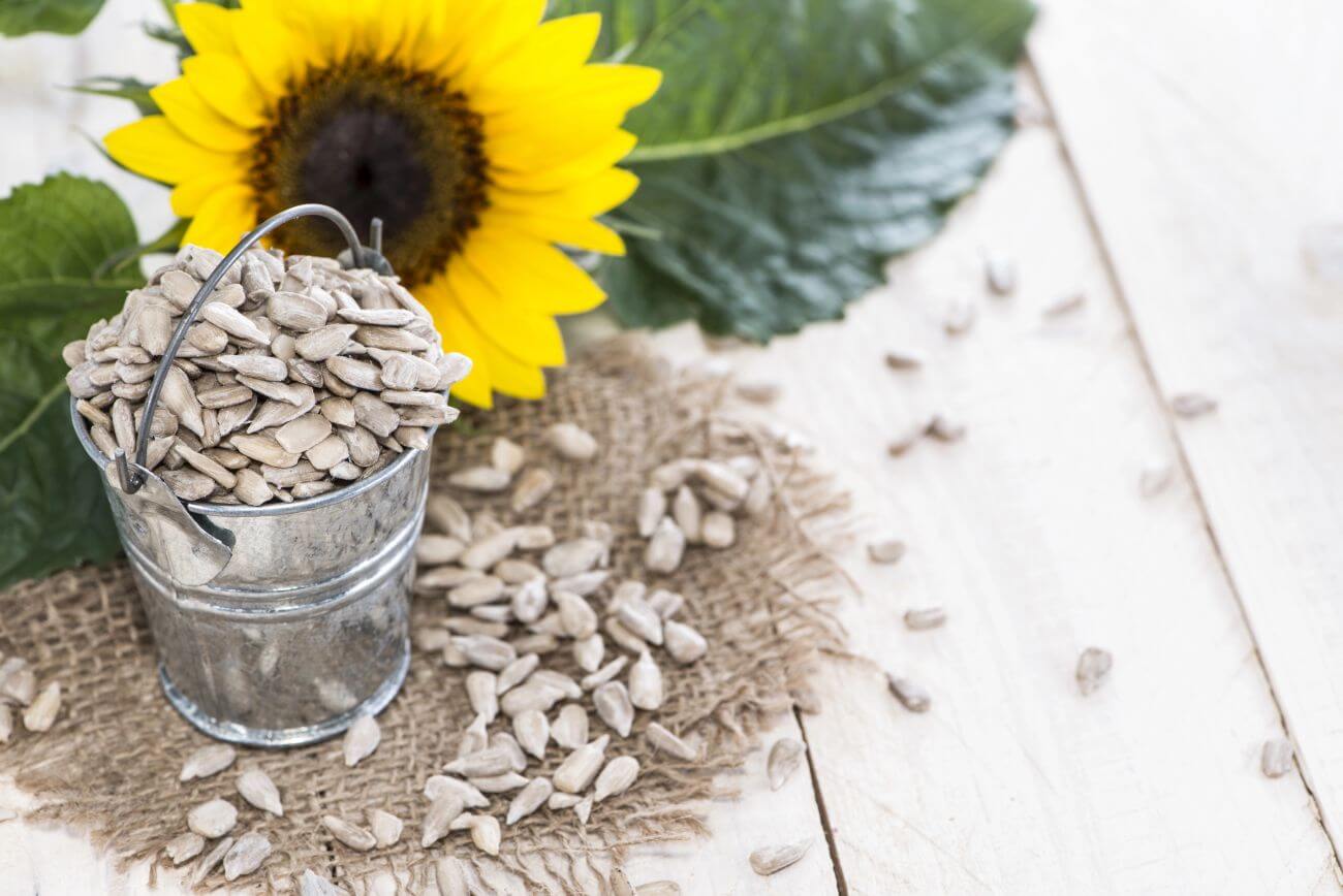 czy pestki słonecznika są zdrowe