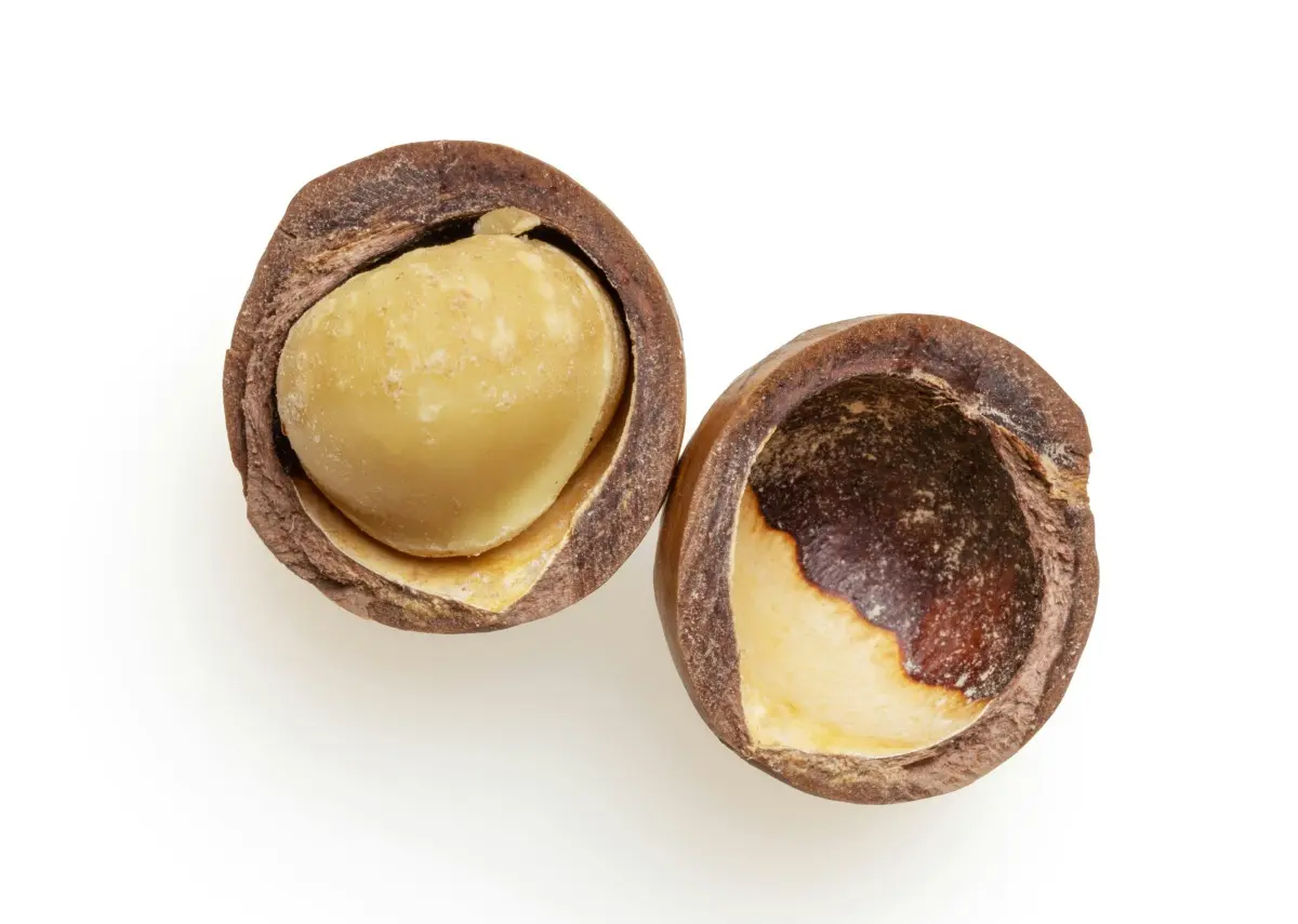 czy orzechy makadamia są zdrowe